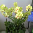 벤텍스 주식회사 이미지