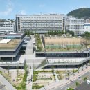 명지대학교 네이버블로그