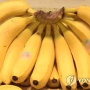 바나나 파이낸셜뉴스
