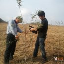 보람 농원 이미지