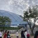 노랑통닭인천운서역점 | 기아 인천 SSG 랜더스필드 야구장 시야 직관 후기