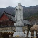 동림사 이미지