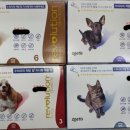 삼보온누리약국 이미지