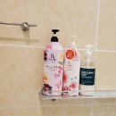 수아르펜션 | 경포대 펜션 추천 :: [강릉 수아르펜션] 복층 + 빔프로젝터 + 스파까지 한번에!♥