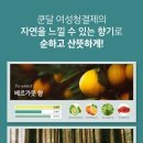 세이프앤워시 이미지