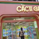 샵(#)뽑기뽑기 | 캑티 가차샵 부평점 인형뽑기 추천 내돈내산 솔직후기