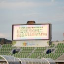 수원종합운동장 인조잔디구장 네이버블로그