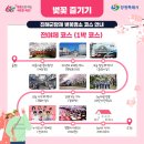 2025 진해군항제 완벽 가이드! 🌸 벚꽃과 함께하는 낭만 여행