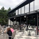 고모리691 이미지