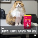 마이펫닥터 고양이영양제 네바에토닉 펫마트 홍은점에서 구입했어요