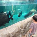 경주부화장 이미지