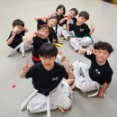 비상태권도 이미지