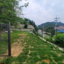 퍼피플리즈 이미지