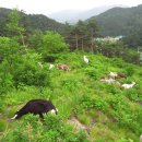 대굴령마을 이미지