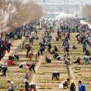 중랑천 제3체육공원 이미지