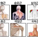 와이투짐 도래울 2호점 이미지
