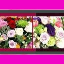 안성동인요양병원 이미지