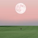 맑은하늘 이미지