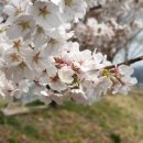 덕곡면사무소 이미지