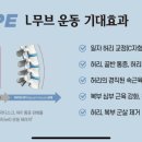 SNPE(바른체형교정운동) 이미지