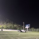 화담숲 반딧불이 보고 왔어요✨｜내돈내산 방문 후기 및 꿀팁