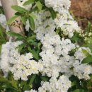 서주농장 이미지