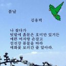 봄날 Daum카페