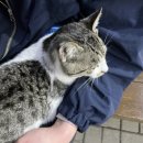 이마트24 영종덕교중앙점 이미지