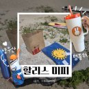 할리스 미피 텀블러 우양산 비치타올 MD굿즈 후기 속초 영랑해변DI점