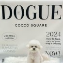 코코스퀘어 애견미용 이미지