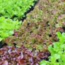 충남농약사 이미지