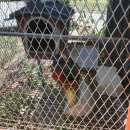 금계촌두부 이미지