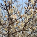 완산-163 이미지