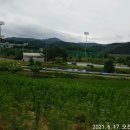 구병산천연잔디구장 이미지