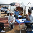 파주국화분재