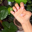 26년 7월 1주(이마트 5k프라이스 프로틴 쉐이크 후기, 육포깡 후기, 무인양품 바다 소금 캔디 소다향...