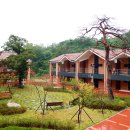 환경성질환아토피센터 친환경체험관 이미지