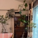 파도길 65 이미지