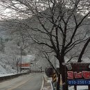 상류펜션 이미지