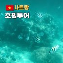 베트남 나트랑 호핑투어 럭셔리 스노쿨링 투어 레츠비 솔직후기