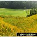 ICHEON76 이미지