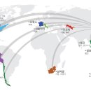 동진무역 이미지