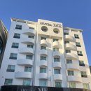 호텔미 | [동해숙소] 새해에 다녀온 호텔미 스탠다드룸 내돈내산후기