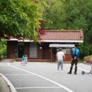 수레의산자연휴양림 이미지