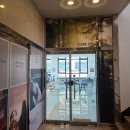 반려견 돌봄센터 일구삼 | 돌봄 반려견과의 특별한 추억 만들기