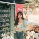 펀세이버 , 일회용 필름카메라 후기, 경주 필름카메라 ( 경주 필름카메라 자판기, 필름현상, 사진...