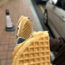 크레페니아 이미지
