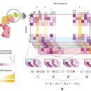 ㈜도시의어부 이미지