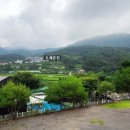 도계공인중개사사무소 이미지