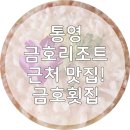 통영 금호마리나리조트 근처 맛집! 금호횟집 하모회 솔직후기